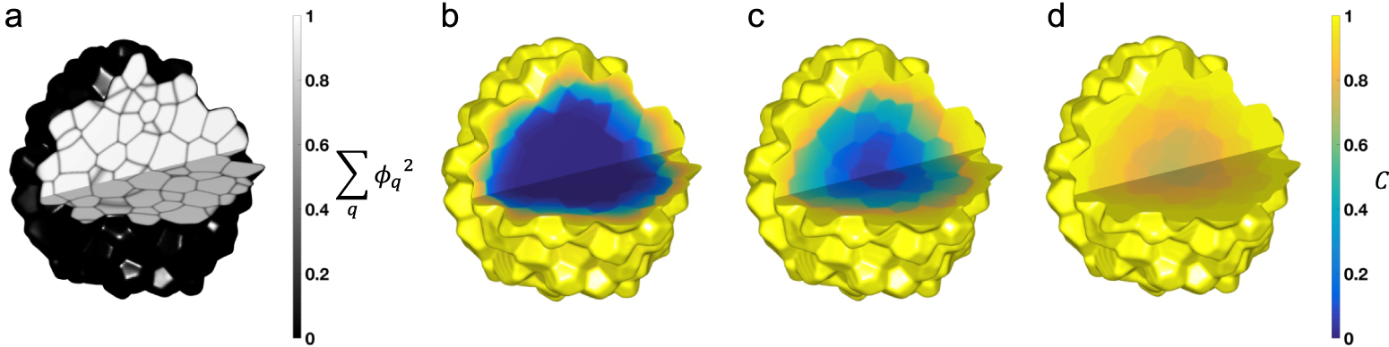 Simulating hindered grain boundary diffusion using the smoothed ...