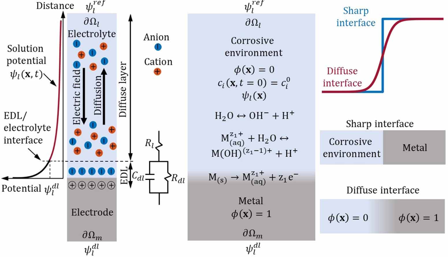 A nonlinear phase-field model of corrosion with charging kinetics of ...