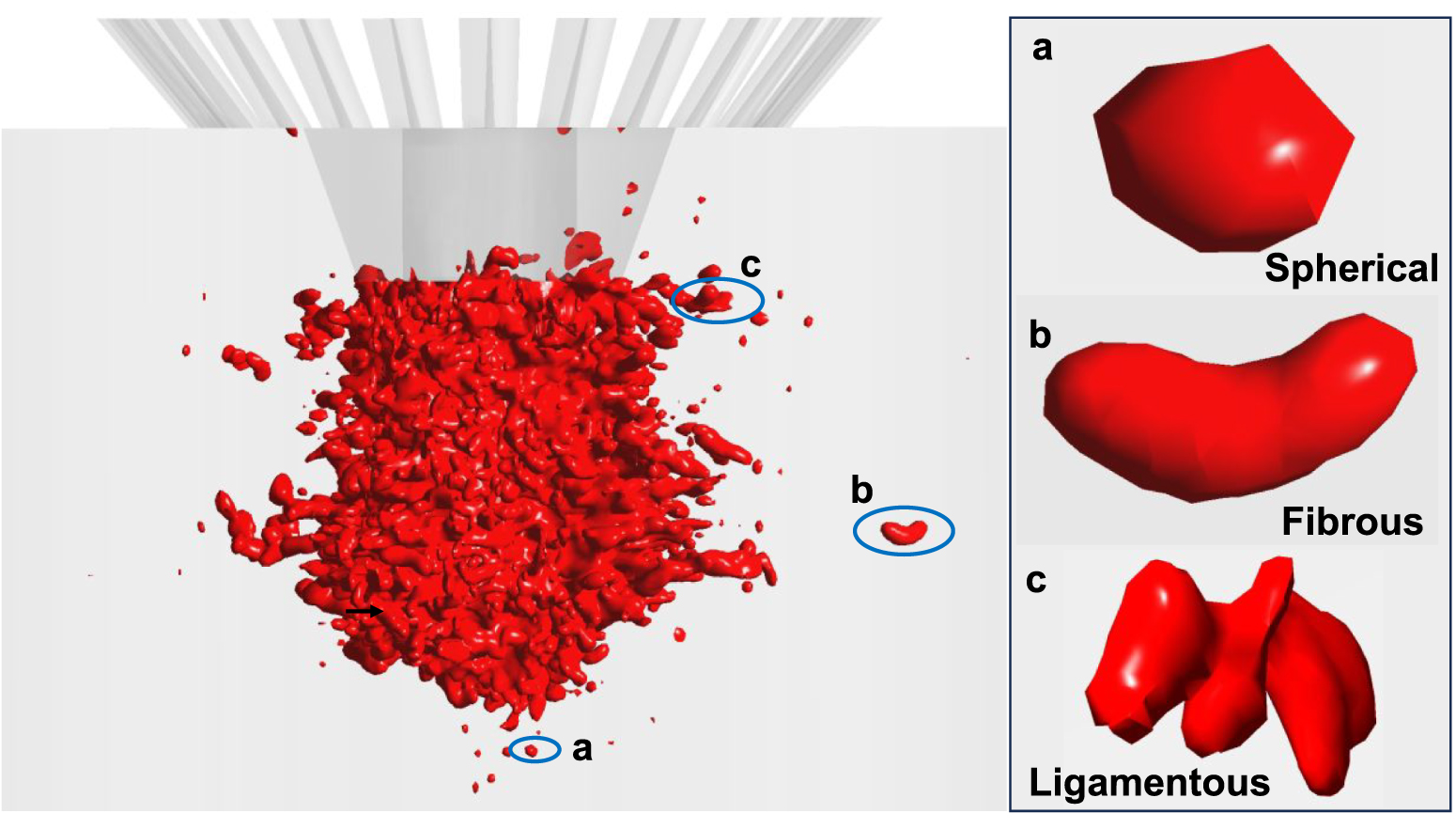 Gas atomization of Ag–28 wt.%Cu alloy: numerical simulations and ...