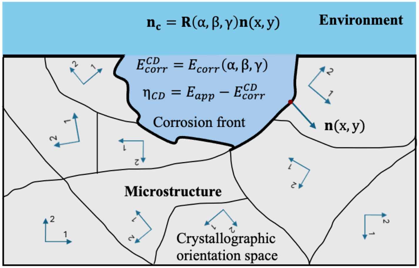 Crystallographic orientation effects on pitting corrosion and pit-to ...