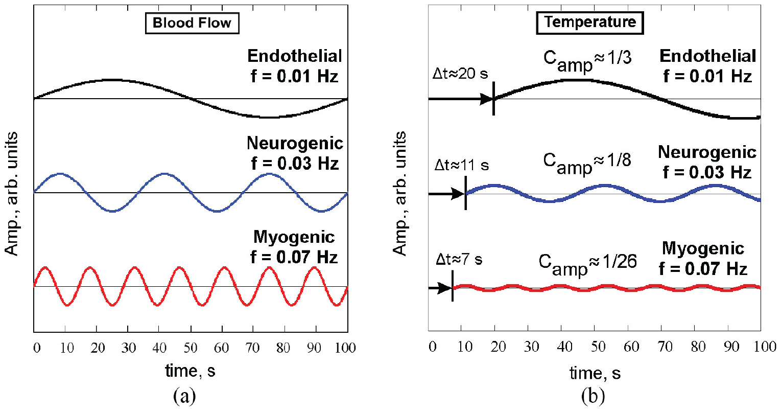 Thermography-based blood flow imaging in human skin of the hands and ...