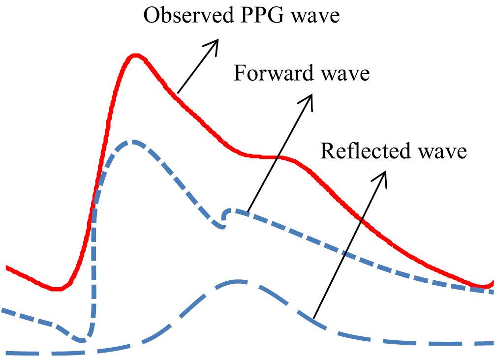Ppg Graph New photoplethysmogram indicators for improving cuffless and continuous ...