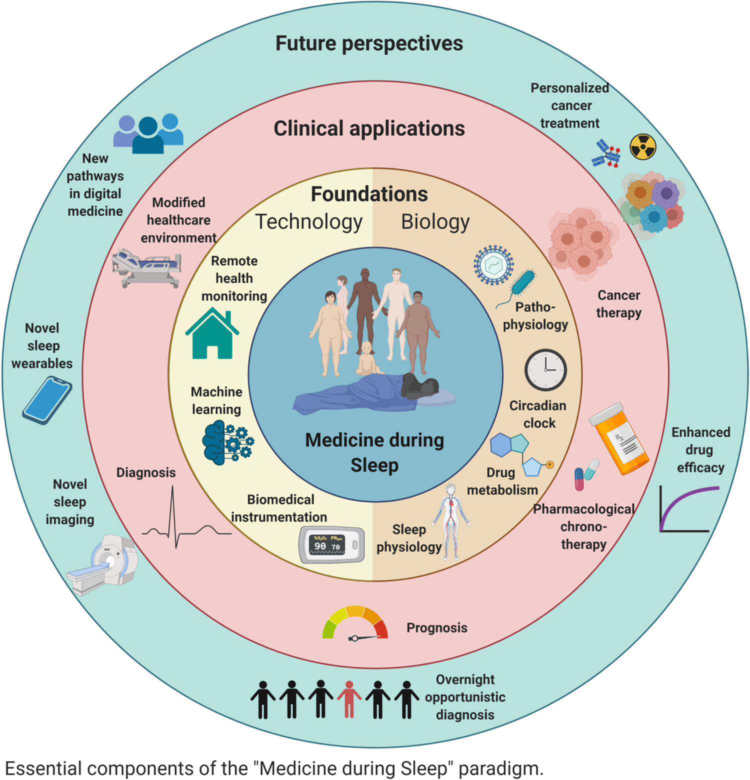 From sleep medicine to medicine during sleep–a clinical perspective ...