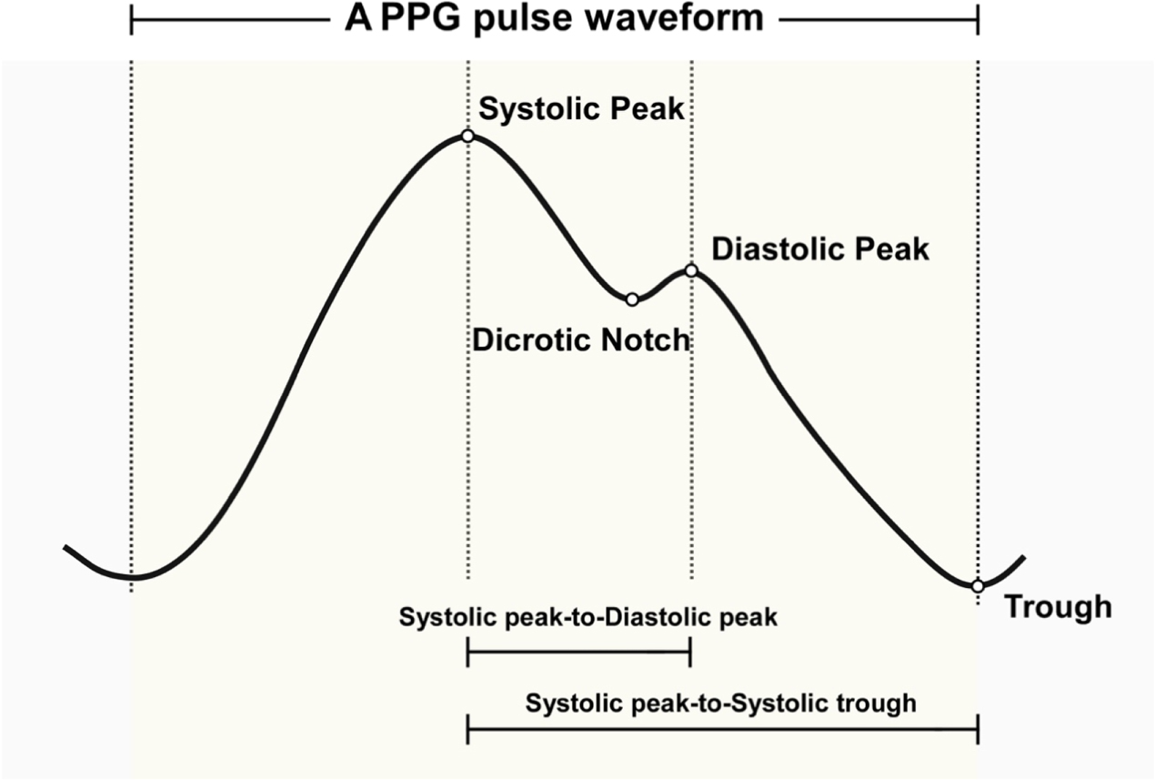 Ppg Graph Modified photoplethysmography signal processing and analysis procedure ...