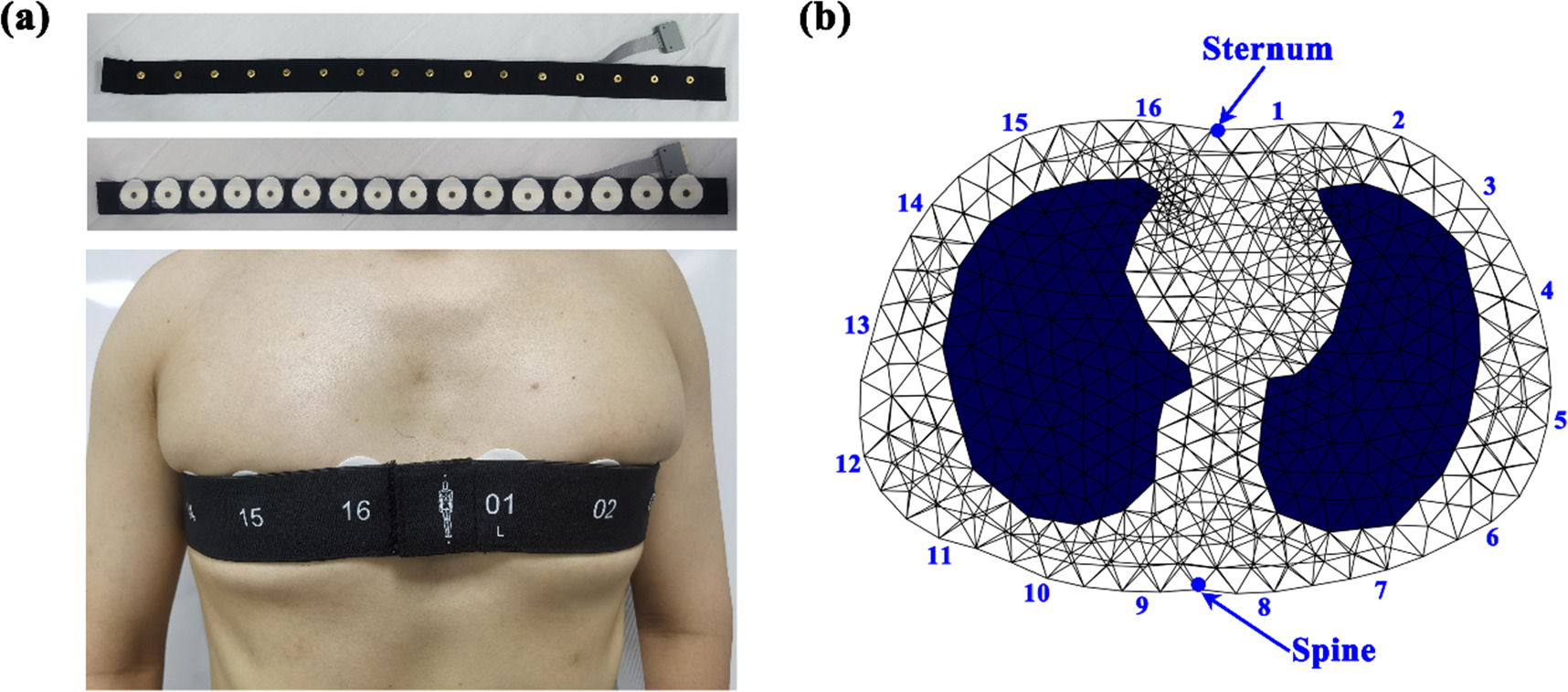 Evaluation of adjacent and opposite current injection patterns for a ...