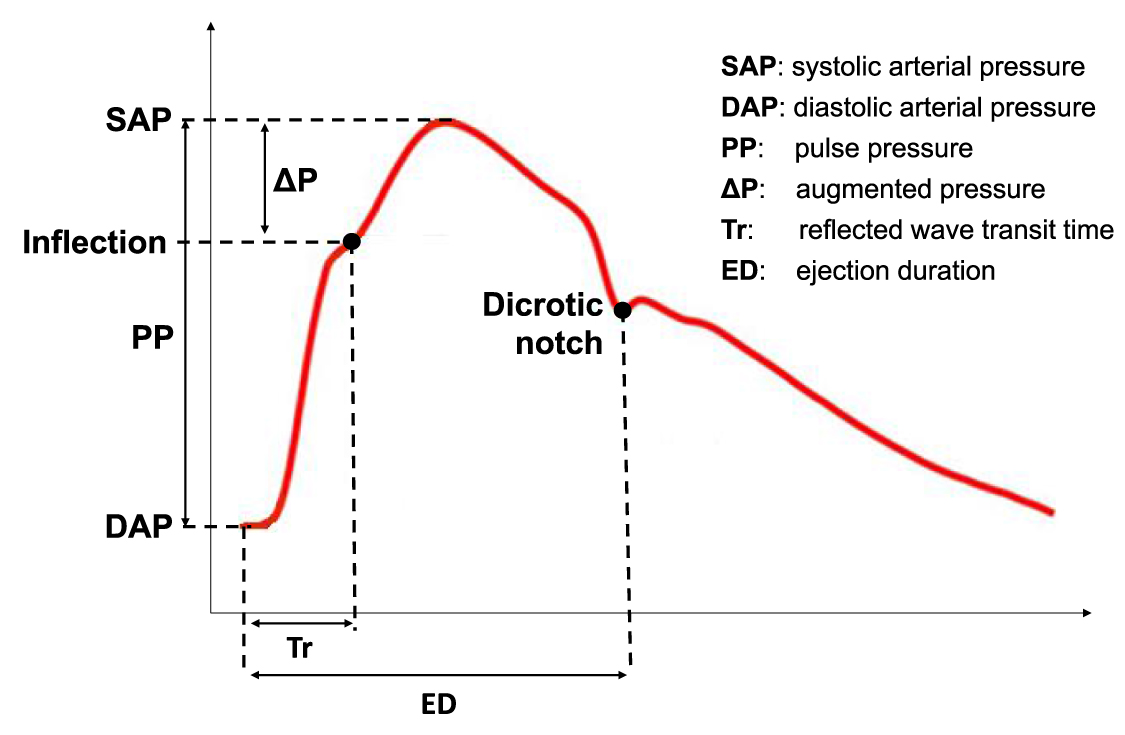 The role of pulse wave analysis indexes for critically ill patients: a ...