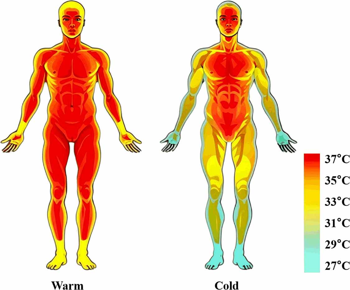 Machine learning-based non-invasive continuous dynamic monitoring of ...