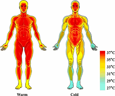 Machine learning-based non-invasive continuous dynamic monitoring of ...