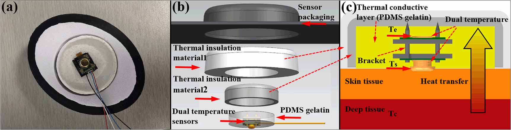 Human Core Temperature Check Machine learning-based non-invasive continuous dynamic monitoring of ...