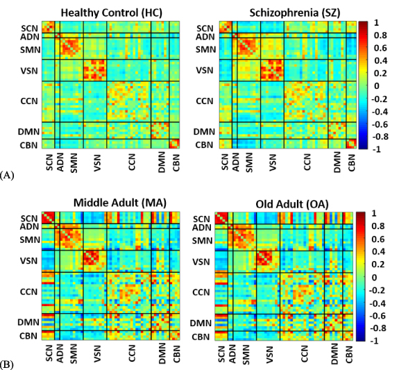 Visualizing functional network connectivity differences using an ...
