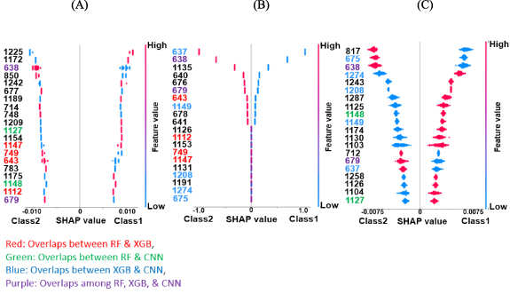 Visualizing functional network connectivity differences using an ...