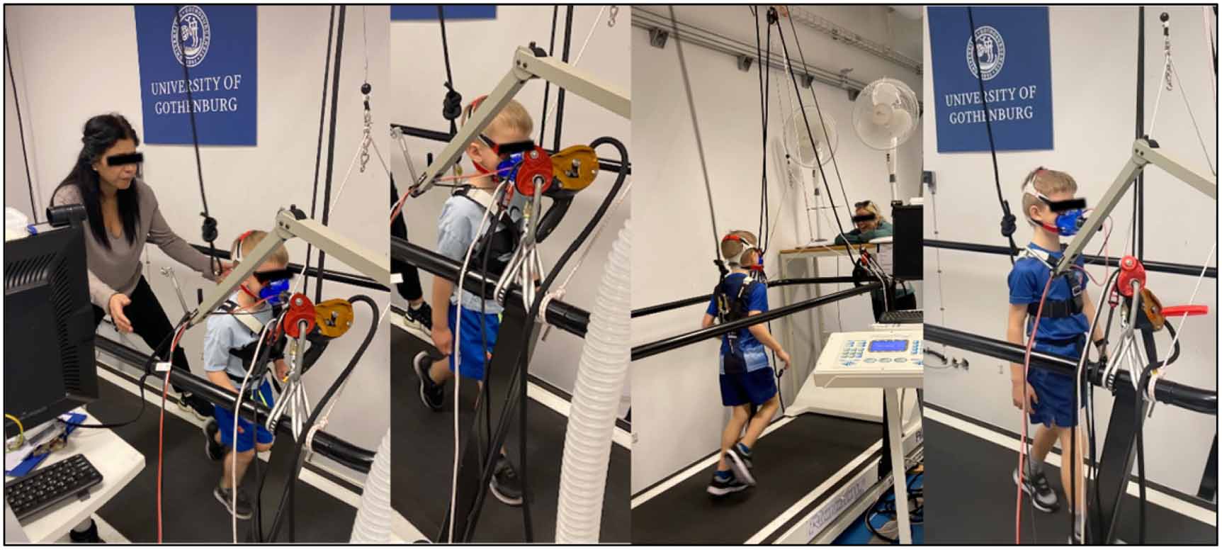From motion to metabolism: investigating the relationship between ...
