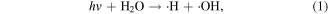 Equation (1)