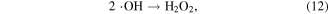 Equation (12)