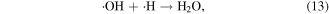 Equation (13)