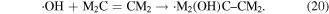 Equation (20)