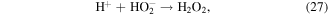 Equation (27)