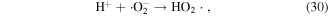 Equation (30)