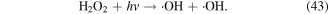 Equation (43)