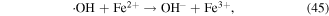 Equation (45)