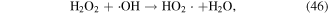 Equation (46)