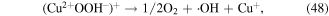 Equation (48)