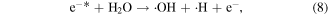 Equation (8)