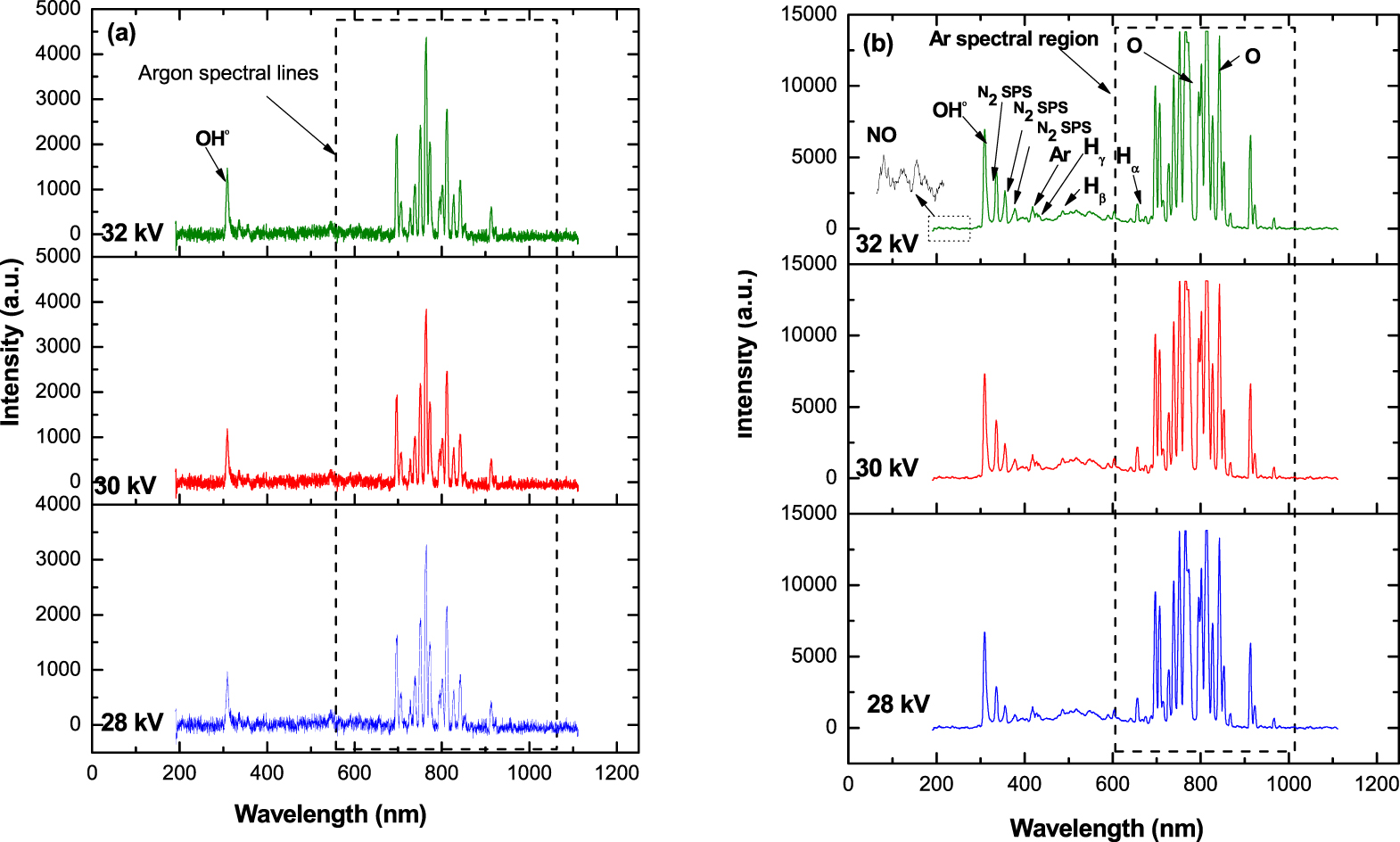 Evaluation of influence of cold atmospheric pressure argon plasma ...