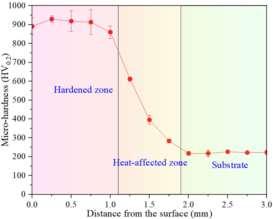 その他 thus DNA hydrogels and their derivatives in biomedical