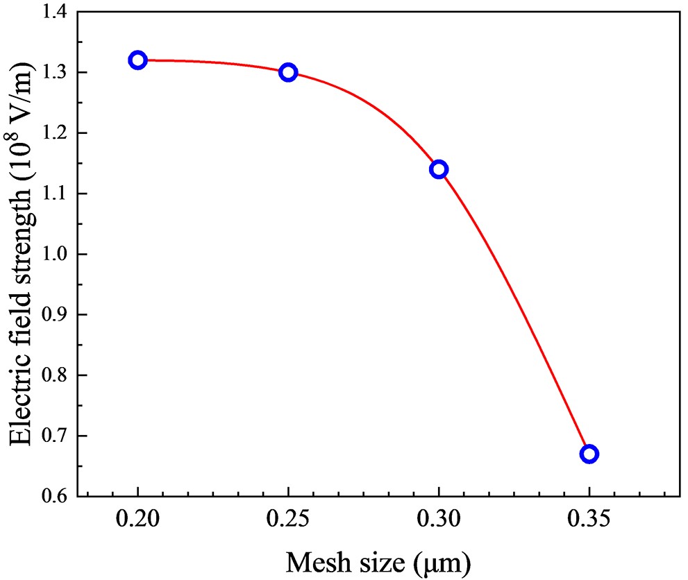 Simulation of liquid cone formation on the tip apex of indium field ...