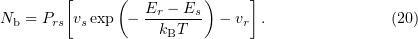 Equation (20)