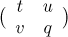 $\bigl ({{\begin{array}{*{10}c}t & u\\ v & q\end{array}}}\bigr )$