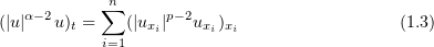 Equation (1.3)