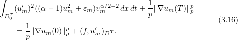 Equation (3.16)