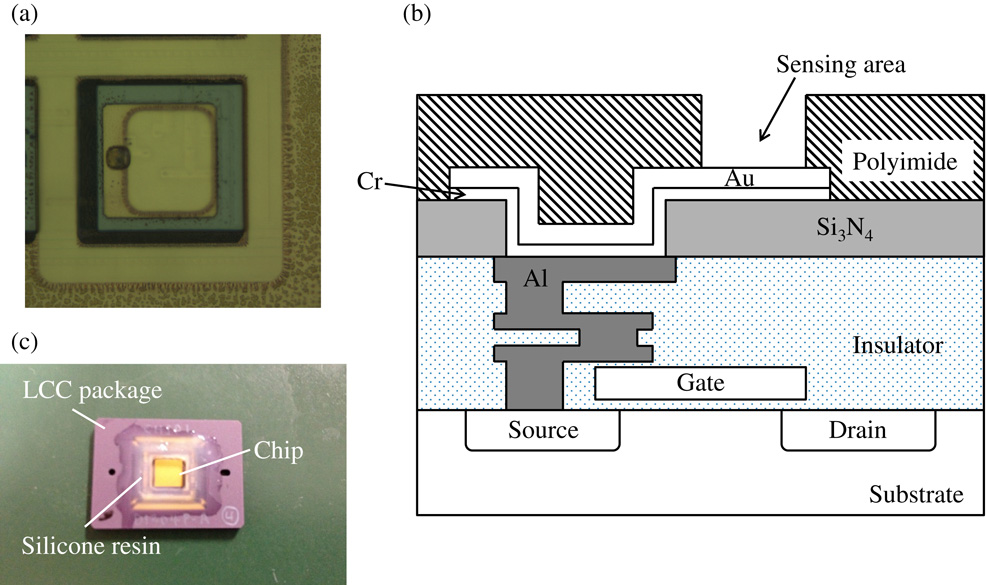 Amperometric electrochemical sensor array for on-chip simultaneous ...