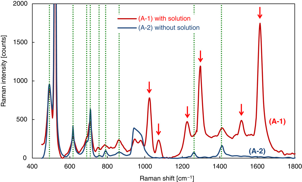Surface-enhanced Raman spectroscopy using linearly arranged gold ...