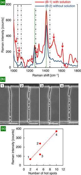 Surface-enhanced Raman spectroscopy using linearly arranged gold ...