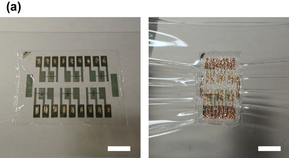 Ultrathin flexible memory devices based on organic ferroelectric ...