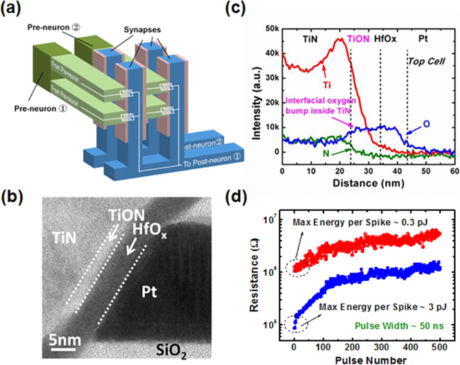 Metal oxide resistive random access memory based synaptic devices for ...