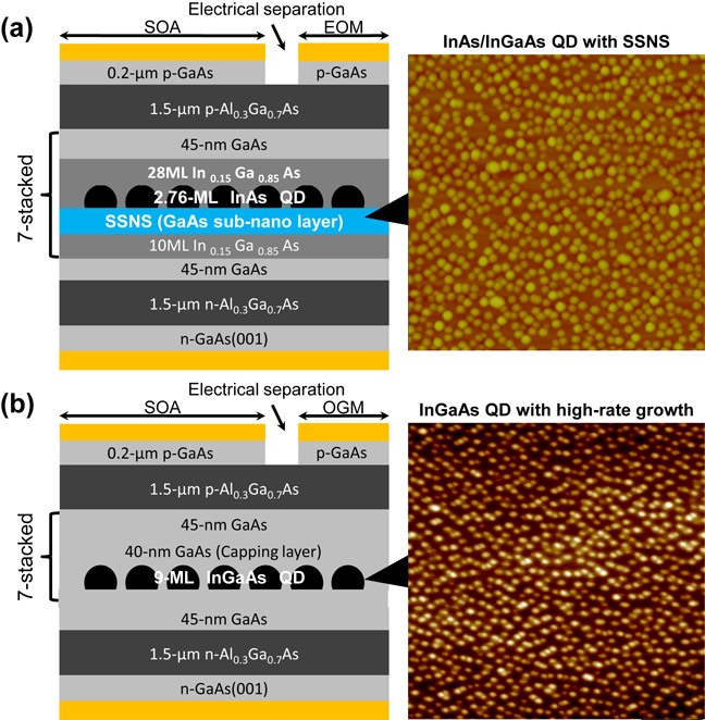 Monolithically integrated quantum dot optical modulator with ...