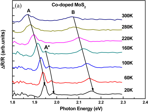 Electrical and optical properties of Co-doped and undoped MoS2 - IOPscience