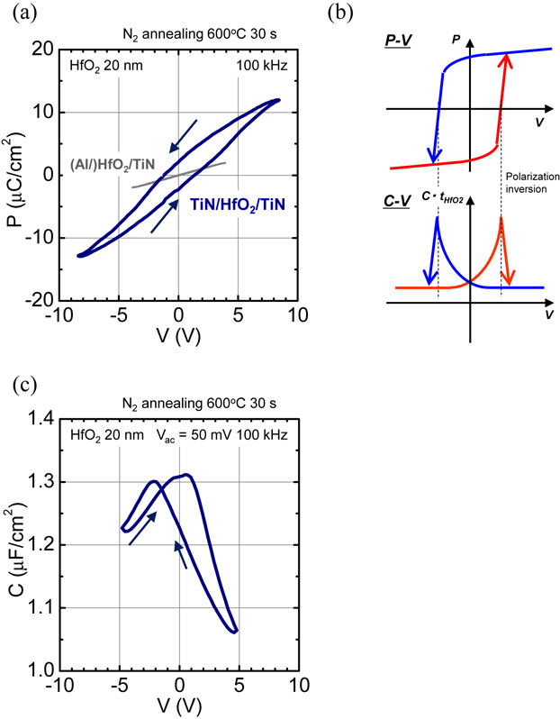 Ferroelectricity of nondoped thin HfO2 films in TiN/HfO2/TiN stacks ...