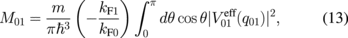 Equation (13)