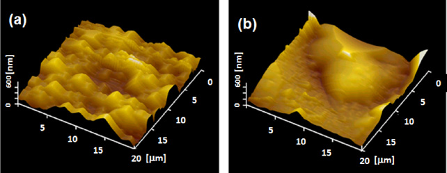 Atmospheric-pressure plasma jet system for silicon etching without ...