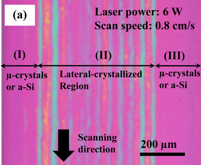 Formation of (100)-oriented large polycrystalline silicon thin films ...