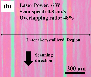 Formation of (100)-oriented large polycrystalline silicon thin films ...