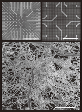 Atomic switch networks as complex adaptive systems - IOPscience