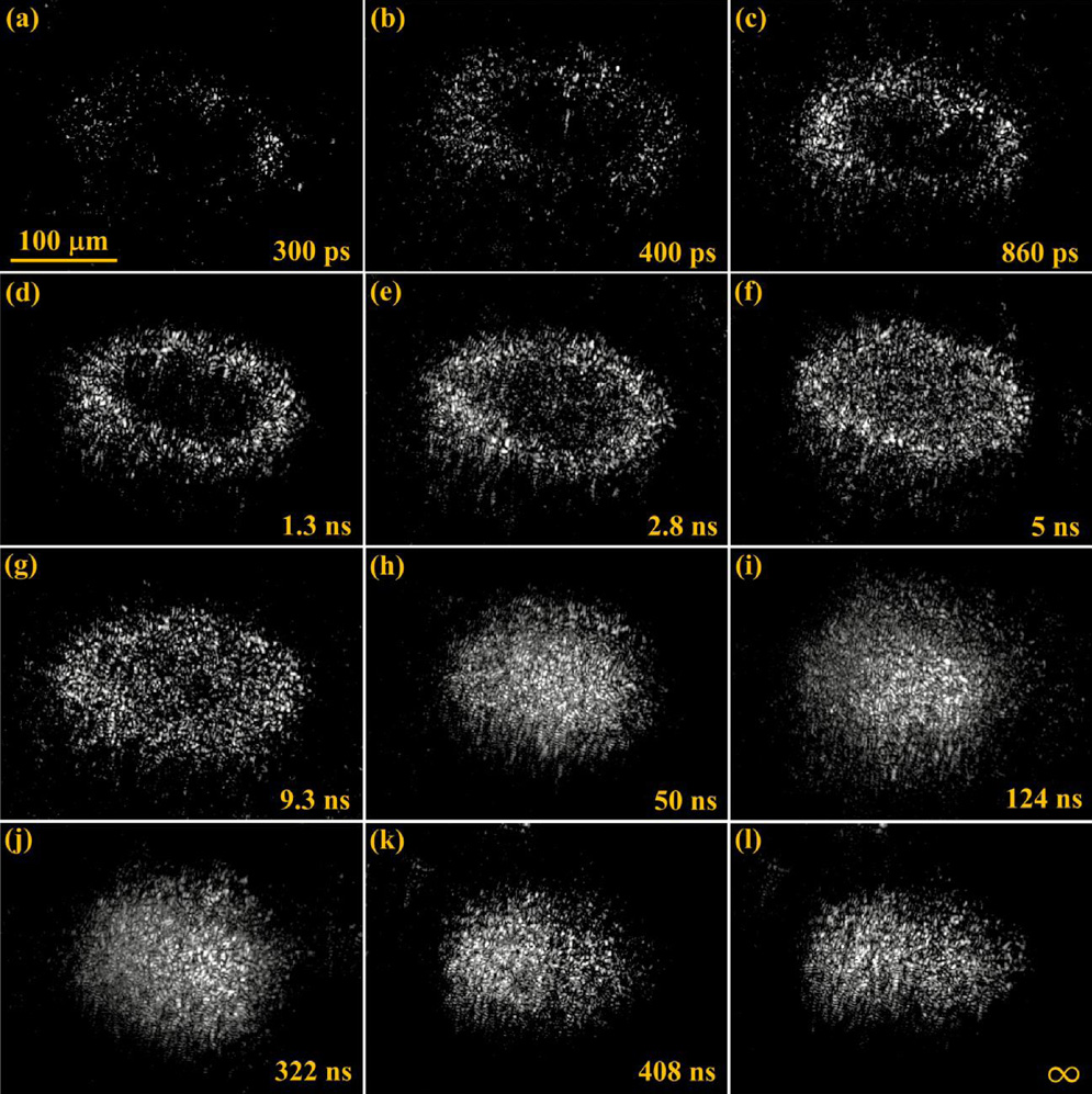 Ultrafast Microscopy Ultrafast microscopy in resolving femtosecond laser-induced surface ...