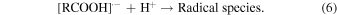 Equation (6)