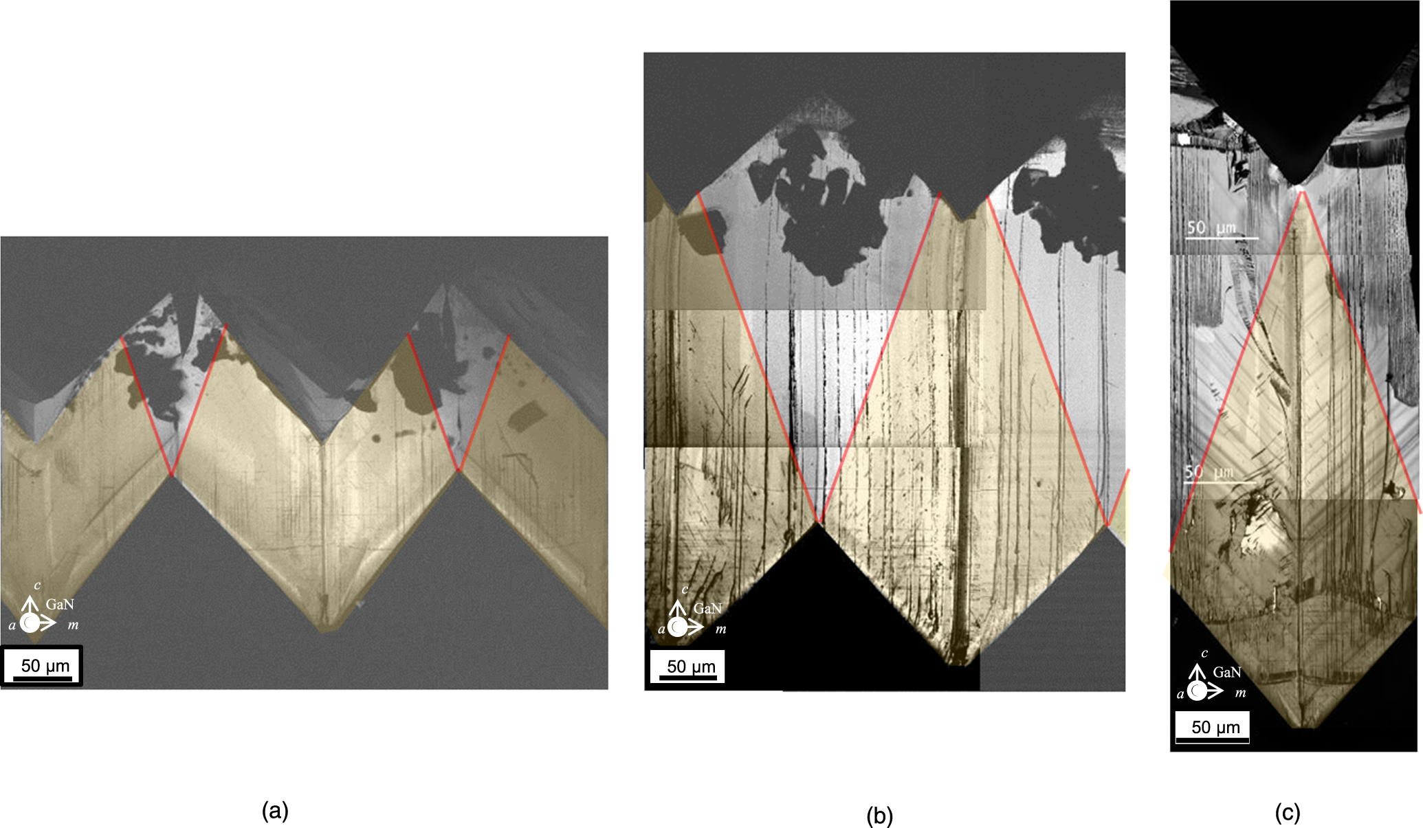 High-quality GaN crystals grown from double-polarity hydride vapor